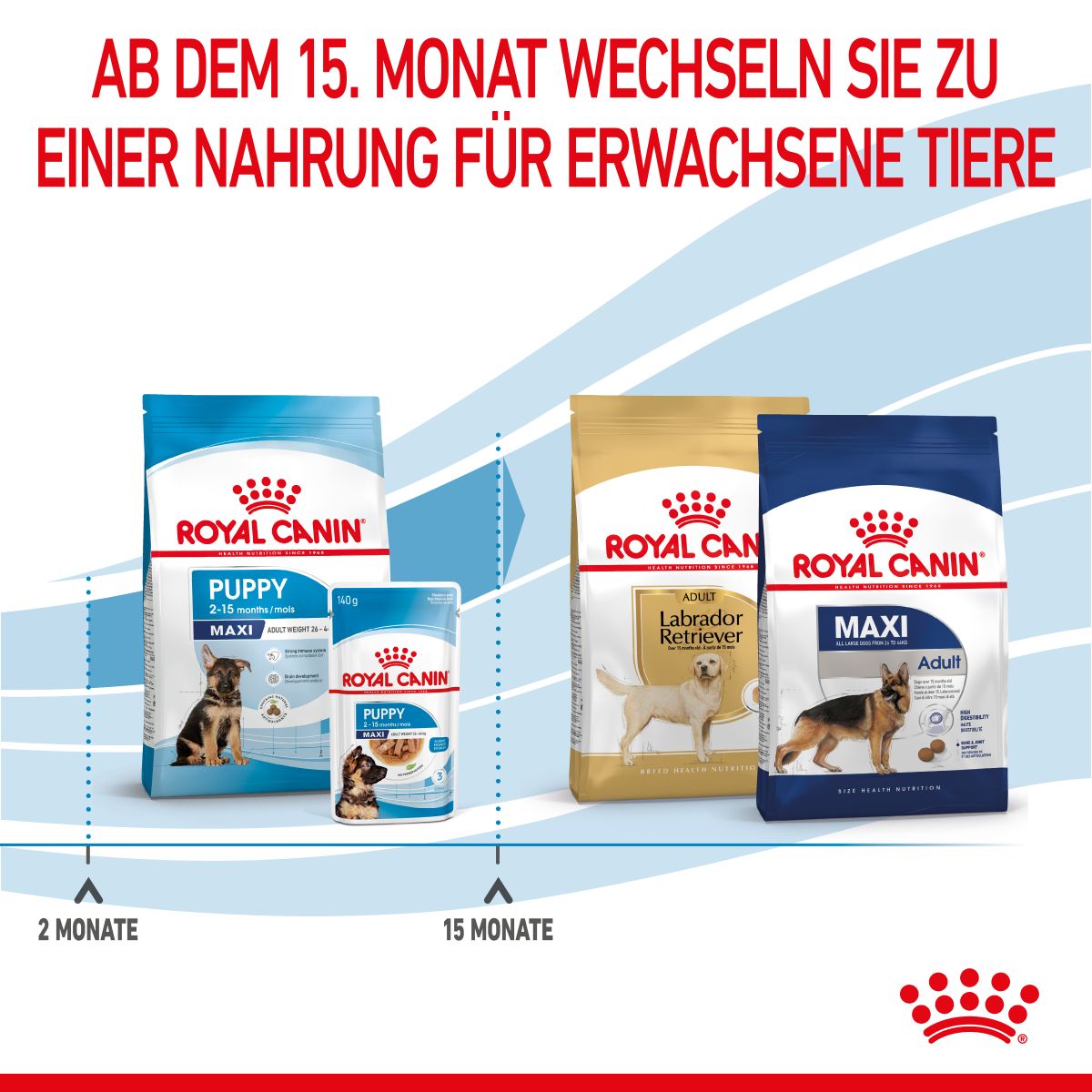  Royal Canin Maxi Puppy Für Welpen Großer Rassen 4 Kg Trockenfutter Für Hunde