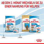  Royal Canin Medium Starter Trockenfutter 15 Kg Trockenfutter Für Hunde