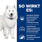 Hills K/d + Mobility Ragout In Dosen Für Hunde 12 X 354 G Dosenfutter Für Hunde