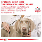  Royal Canin Urinary S/O Small Dogs Hundefutter 1,5 Kg Trockenfutter Für Hunde