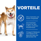  Hills Science Plan Canine Adult No Grain Medium Huhn Trockenfutter 14 Kg Trockenfutter Mit Huhn