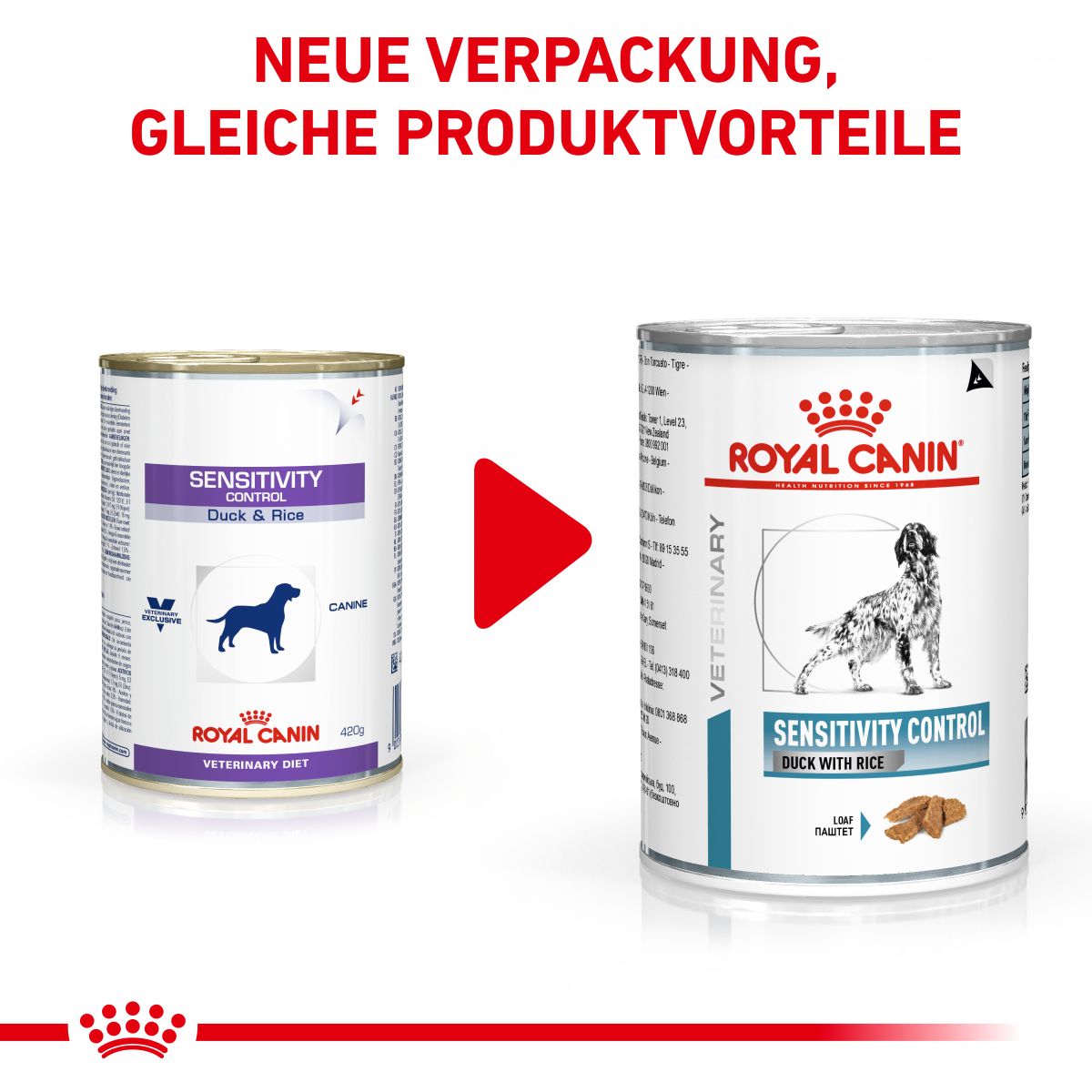  Royal Canin Sensitivity Control Dosen Ente & Reis Für Hunde 12 X 410 G Ente & Reis Dosenfutter Für Hunde