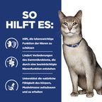  Hills K/d Katze Dosenfutter Bei Nierenerkrankungen 24 X 156 G Feingehackt - Huhn Dosen