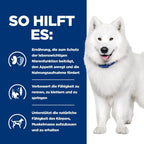  Hills K/d + Mobility Ragout In Dosen Für Hunde 12 X 354 G Dosenfutter Für Hunde