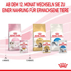  Royal Canin Kitten Frischebeutel Mit Gelee 12 X 85 G In Gelee Frischebeutel
