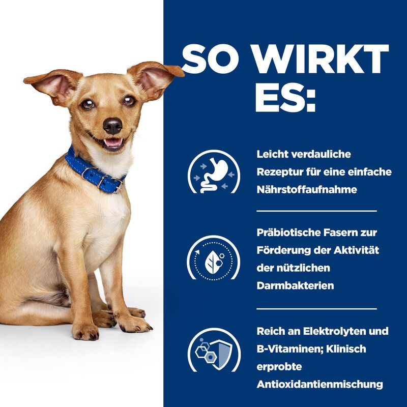  Hills I/d Ragout In Kleinen Dosen Für Hunde 24 X 156 G Dosenfutter Ragout Für Hunde