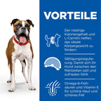  Hills Science Plan Canine Light Adult Medium Mit Huhn Trockenfutter 14 Kg Trockenfutter
