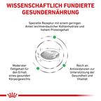  Royal Canin Diabetic Trockenfutter Für Katzen 1,5 Kg Trockenfutter Für Katzen