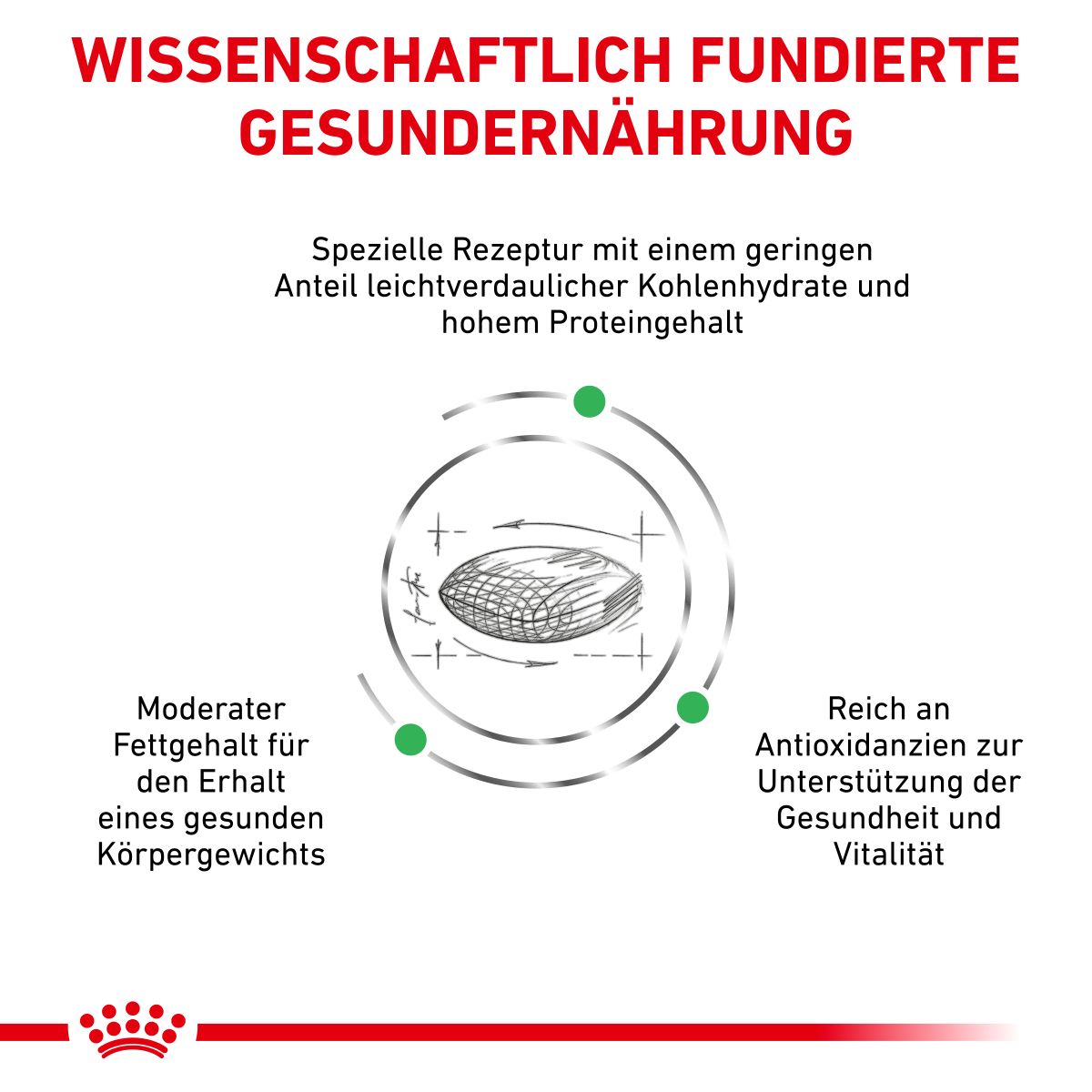  Royal Canin Diabetic Trockenfutter Für Katzen 1,5 Kg Trockenfutter Für Katzen