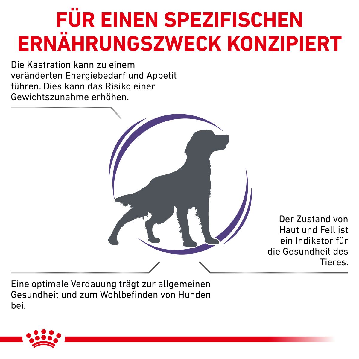  Royal Canin Neutered Adult Medium Dogs Hundefutter 9 Kg Trockenfutter Für Hunde