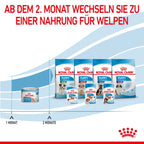  Royal Canin Starter Ultra Soft Mousse Für Welpen 12 X 195 G