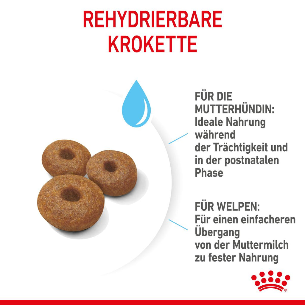  Royal Canin Maxi Starter Trockenfutter 15 Kg Trockenfutter Für Hunde