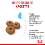  Royal Canin Maxi Starter Trockenfutter 15 Kg Trockenfutter Für Hunde