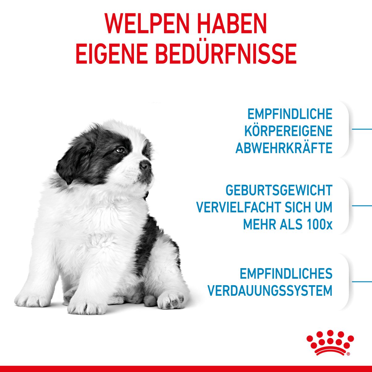  Royal Canin Gigant Puppy Trockenfutter Für Welpen Sehr Großer Rassen 3,5 Kg Trockenfutter Für Hunde (neues Design)