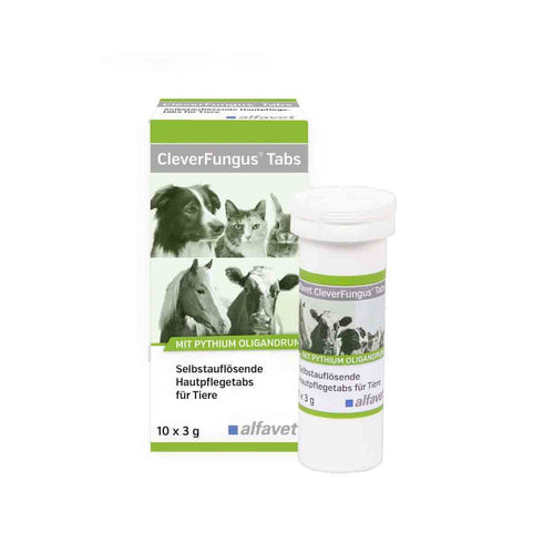  Alfavet CleverFungus Tabs 10 X 3 G Tabs