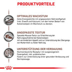  Royal Canin Gastrointestinal Kitten Dosen 12 X 195 G Dosen Feuchtfutter