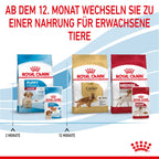  Royal Canin Medium Puppy Frischebeutel 10 X 140 G Frischebeutel Für Hunde
