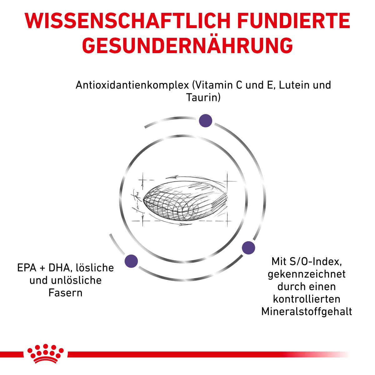  Royal Canin Adult Trockenfutter Für Katzen 2 Kg Trockenfutter Für Katzen