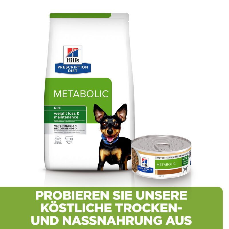  Hills Canine Metabolic Mini Ragout In Dosen Für Hunde 24 X 156g Ragout In Dosen