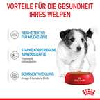  Royal Canin Mini Puppy Frischebeutel 12 X 85 G Frischebeutel Für Hunde
