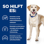  Hills D/d Hund Trockenfutter Bei Unverträglichkeiten 4 Kg Trockenfutter Für Hunde
