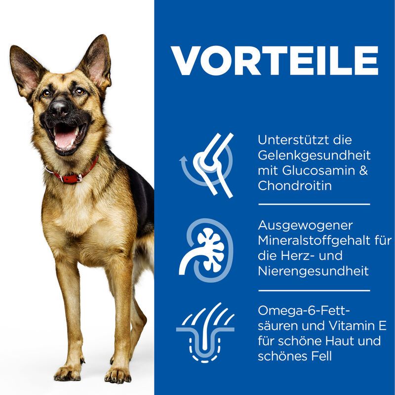  Hills Science Plan Canine Mature Adult 6+ Large Breed Hund Trockenfutter 14 Kg Trockenfutter Mit Huhn