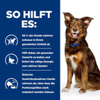  Hills Canine Metabolic Dosenfutter Für Hunde 12 X 370 G Dosenfutter Für Hunde