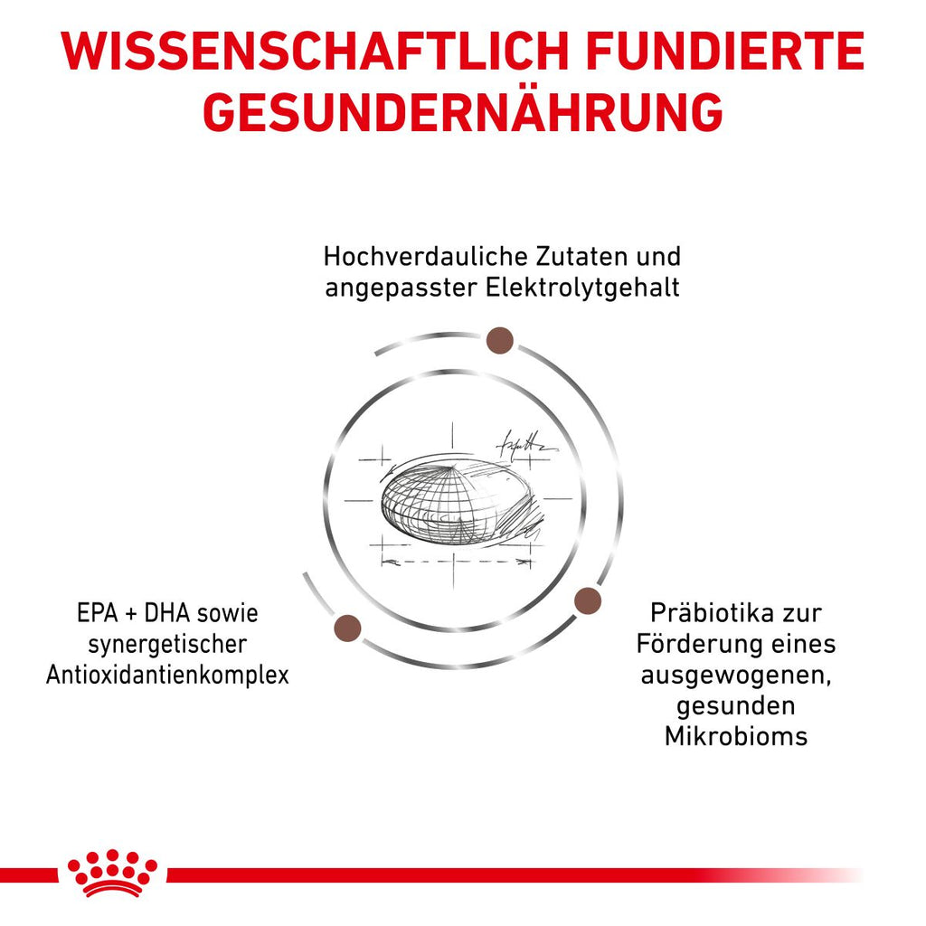  Royal Canin Gastrointestinal Trockenfutter Für Hunde 2 Kg Trockenfutter Für Hunde