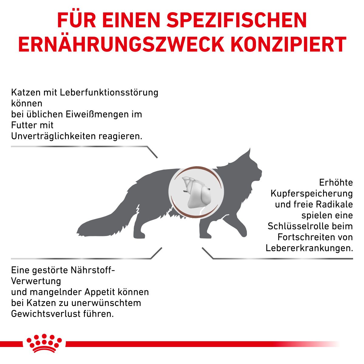  Royal Canin Hepatic Trockenfutter Für Katzen 2 Kg Katze Trockenfutter