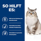  Hills J/D Trockenfutter Für Katzen 1,5 Kg Trockenfutter Für Katzen