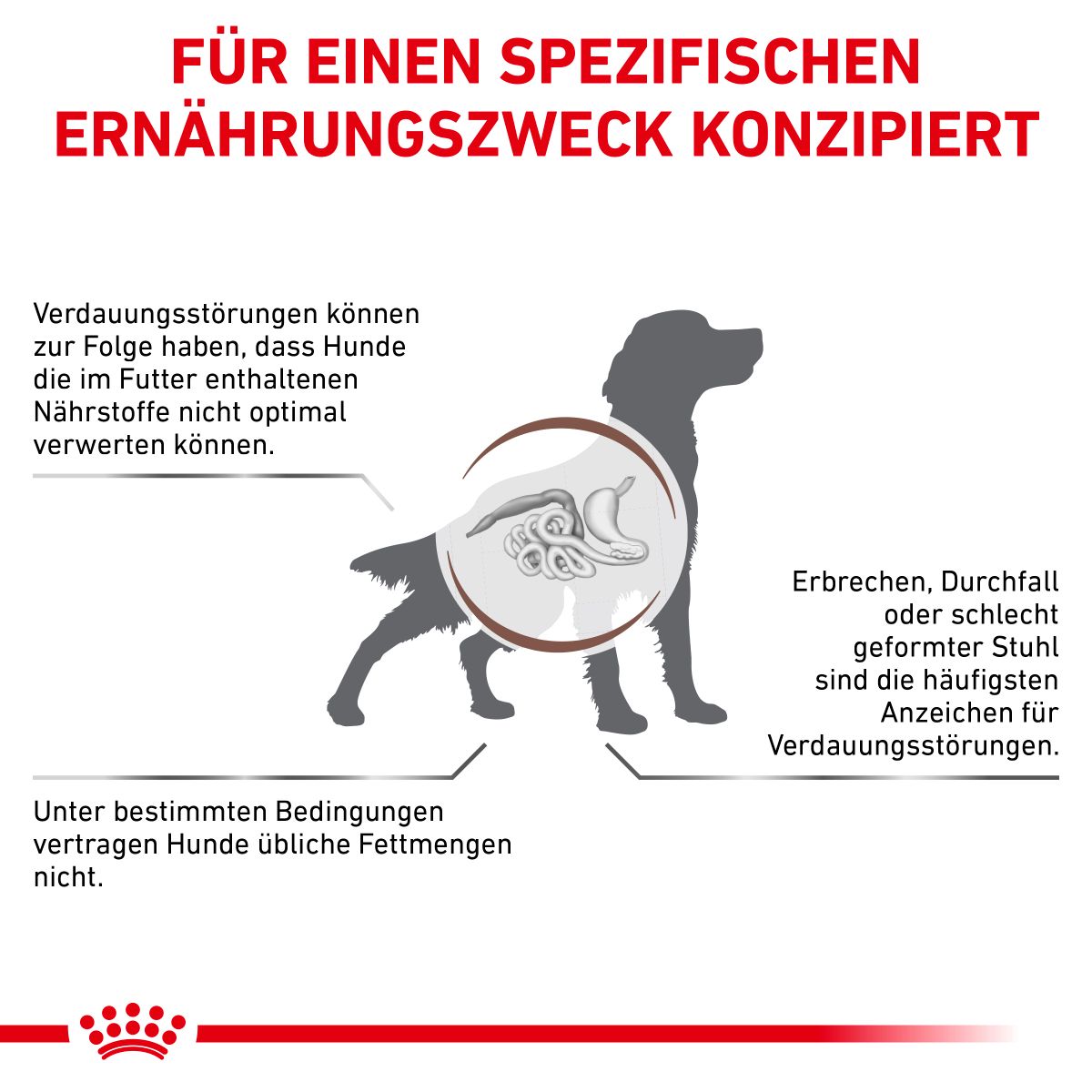  Royal Canin Gastrointestinal Low Fat Hundefutter In Dosen 12 X 200 G Low Fat Mousse Dosenfutter