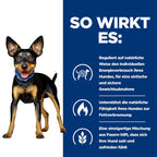  Hills Canine Metabolic Mini Ragout In Dosen Für Hunde 24 X 156g Ragout In Dosen
