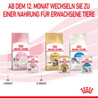  Royal Canin Kitten Frischebeutel Mousse 12 X 85 G Mousse Frischebeutel