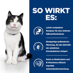  Hills I/d Mit ActivBiome+ Ragout In Dosen Für Katzen 24 X 82 G Ragout Mit ActivBiome+ In Dosen Für Katzen