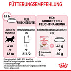  Royal Canin Kitten Second Age Für Kätzchen Bis Zum 12. Monat 12 X 85 G In Soße Frischebeutel