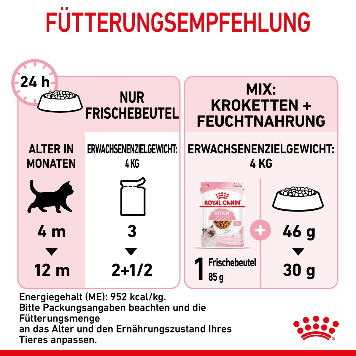  Royal Canin Kitten Second Age Für Kätzchen Bis Zum 12. Monat 12 X 85 G In Soße Frischebeutel