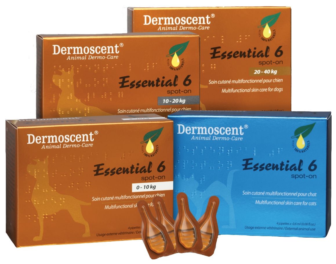  Selectavet Dermoscent Essential 6 Spot On 4 X 0,6 Ml Für Hunde (0 - 10 Kg)