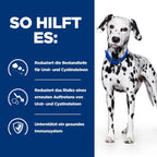 Hills U/d Trockenfutter Für Hunde 4 Kg Trockenfutter Für Hunde