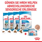 Royal Canin Starter Ultra Soft Mousse Für Welpen 12 X 195 G