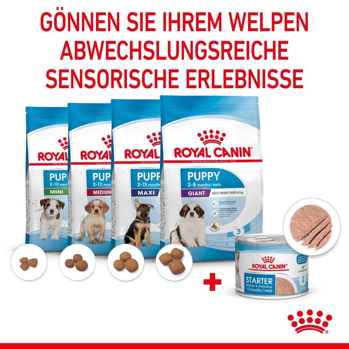  Royal Canin Starter Ultra Soft Mousse Für Welpen 12 X 195 G