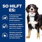  Hills Canine Metabolic + Mobility Trockenfutter Für Hunde 4 Kg Trockenfutter Für Hunde