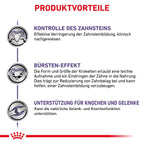  Royal Canin Dental Medium & Large Dogs Trockenfutter Für Hunde 6 Kg Trockenfutter Für Hunde