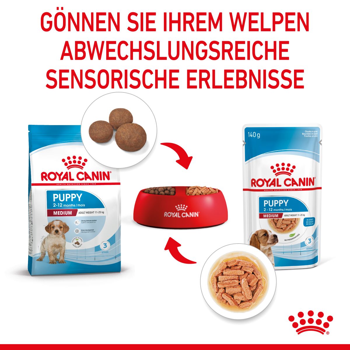 Royal Canin Medium Puppy Frischebeutel 10 X 140 G Frischebeutel Für Hunde