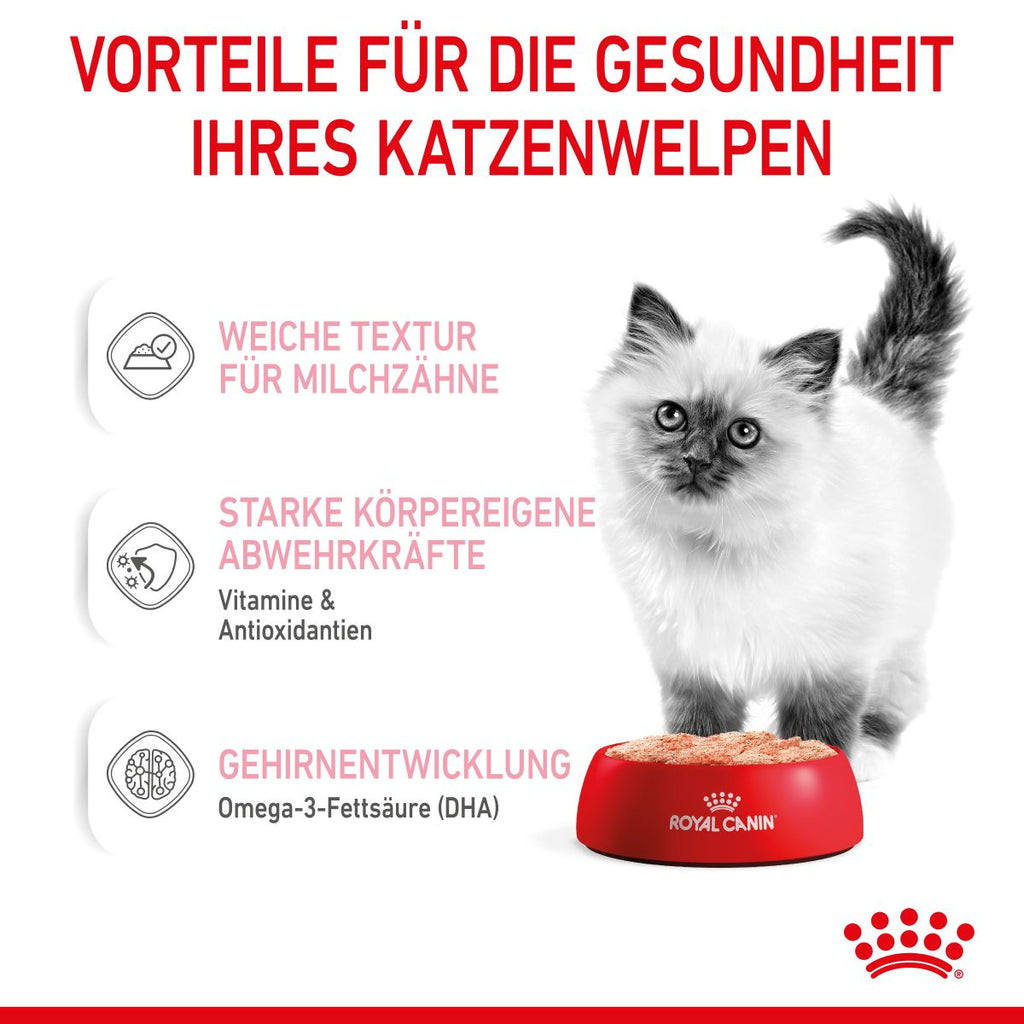  Royal Canin Kitten Frischebeutel Mousse 12 X 85 G Mousse Frischebeutel