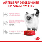 Royal Canin Kitten Frischebeutel Mousse 12 X 85 G Mousse Frischebeutel