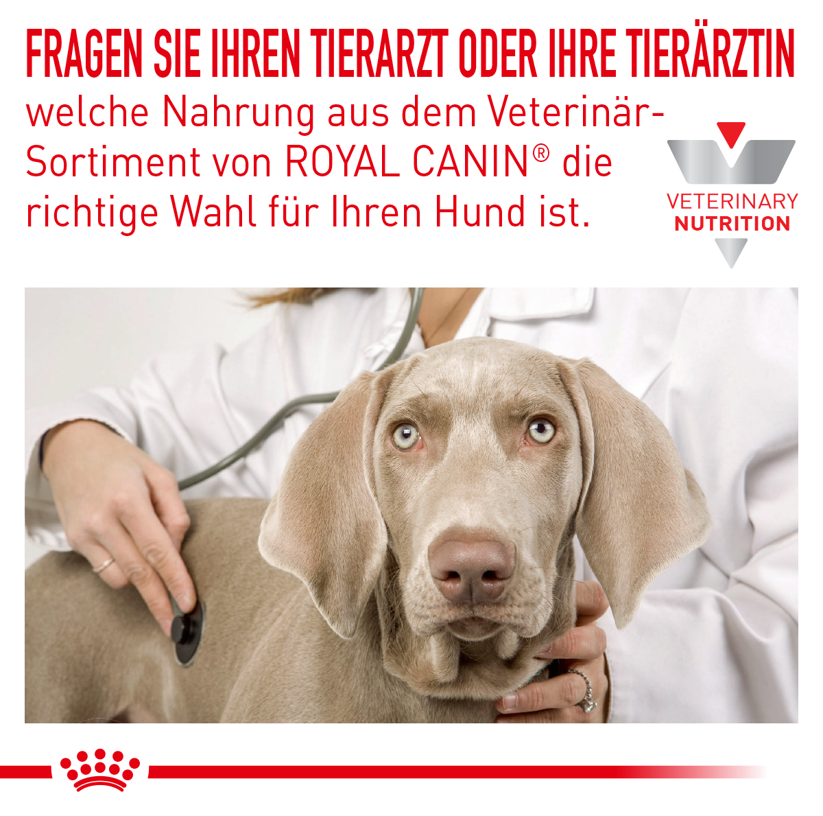  Royal Canin Sensitivity Control Trockenfutter Für Hunde 1,5 Kg Trockenfutter Für Hunde