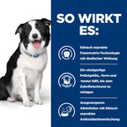  Hills Canine T/d Trockenfutter Für Hunde 4 Kg Trockenfutter Für Hunde