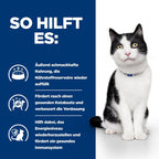  Hills I/d Mit ActivBiome+ Lachs Frischebeutel Für Katzen 12 X 85 G ActivBiome+ Lachs Frischebeutel