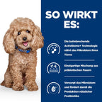  Hills Prescription Diet Canine Gastrointestinal Biome Mini Trockenfutter Für Hunde 1 Kg Trockenfutter Für Hunde