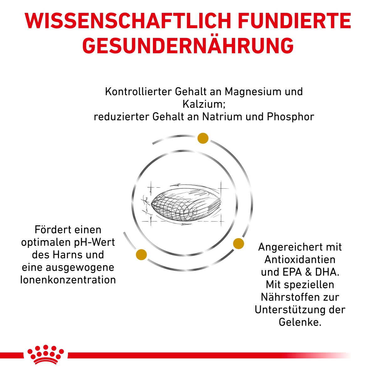 Royal Canin Urinary S/O AGEING 7+ Hundefutter 1,5 Kg Trockenfutter Für Hunde